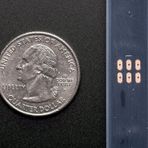 Adafruit NeoPixel Dijital RGB Siyah 30 Led 1 mt Şerit Led