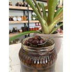 Adalılar Çiftliği Siyah Zeytin - 1 kg