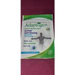 Adaptogen Kırmızı Kore Ginsengli Ağrı Bandi