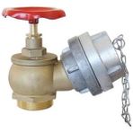 Adasan TS12259 2 1/2 inç Alman Tipi Körtapalı Yangın Vanası