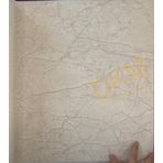 Adawall 23107-2 Roka Serisi Krem Modern Çizgisel Desen Duvar Kağıdı