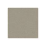 Adawall Beta Klasik Duvar Kağıdı (16,5M2), Gri, 106 X 10