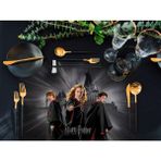 Adawall Home Harry Potter And The Order Of The Phoenix Kumaş Amerikan Servis 4'lü Set 35X50CM - 35 x 50 cm - Renkli