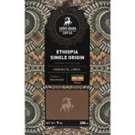 Addis Ababa Coffee 250 gr Cold Brew Etiyopya Single Origin Çekirdek Filtre Kahve