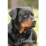 Address with Birthdays book: Rottwiler Design Cover | address book with birthdays and anniversaries | Address log book for contacts | address and birthday organizer