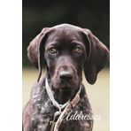 Address with Birthdays book: Short Haired Pointer Design Cover | address book with birthdays and anniversaries | Address log book for contacts | address and birthday organizer