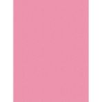 Adel 50x70 Pembe Fon Kartonu