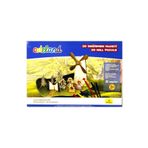 Adeland 3D Değirmen Maketi