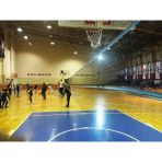 Adelinspor Premium 28 m Voleybol Filesi