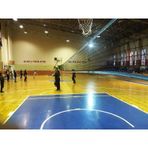 Adelinspor Silver 24,00 m Voleybol Filesi