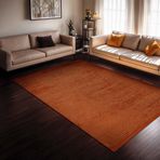 Aden Leona 1 Kiremit Makinada Yıkanabilir Şönil Dokuma 160x300 cm Halı