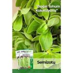 Adet Semizotu Tohumu