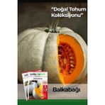Adet Yerli Ata Bal Kabağı Tohumu (Turuncu Etli)