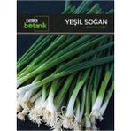 Adet Yeşil Soğan Tohumu