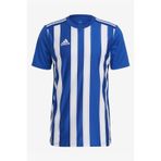 Adidas ADGH7321 Striped 21 Jsy Erkek Forma