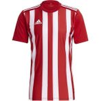 Adidas ADGN7624 Striped 21 Jsy Kırmızı Erkek Forma