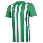 Adidas ADH35644 Striped 21 JSY Yeşil Erkek Forma