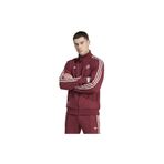 adidas adidas Fc Bayern Icon Tt Erkek Ceket Bordo