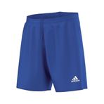 Adidas AJ5884 Yeşil Erkek Şort