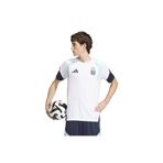 adidas Arjantin 26 Tiro Training Erkek Beyaz Futbol Forma JY7029