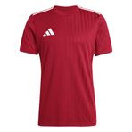 Adidas Campeon25 Jsy M Erkek Futbol Antrenman Forması JF6058Kırmızı