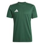 Adidas Campeon25 Jsy M Erkek Futbol Antrenman Forması JF6063 Beyaz