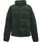 Adidas Cord Down HN2137 Yeşil Erkek Mont