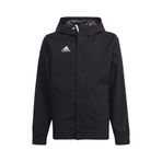 adidas Ent22 Aw Jkt Erkek Spor Ceketi IK4010 Siyah