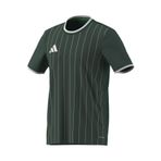 adidas Ent26 Gfx Jsy Erkek Forma KE7101
