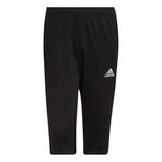 Adidas Entrada 22 3/4 erkek pantolonu