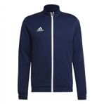 adidas Entrada 22 erkek montu