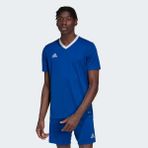 adidas Entrada 22 Jersey Erkek Forma - Mavi - L