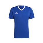 adidas Entrada 22 Jersey Erkek Forma - Mavi