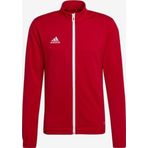 Adidas Entrada 22 Track Jacket Erkek Ceket H57537
