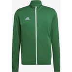 Adidas Entrada 22 Track Jacket Erkek Ceket HI2135