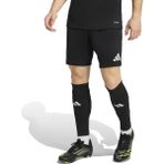 Adidas ENTRADA26 Erkek Siyah Şort - L
