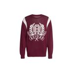 adidas Erkek Bordo Sweatshirt GRAPHIC REG JP JX8215