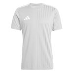 adidas Erkek CAMPEON25 JSY M Forma TMLGGR/WHITE L