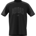 adidas Erkek Collegiate Tişört (1'li Paket)
