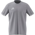 adidas Erkek Entrada26 Tişört (1'li Paket)