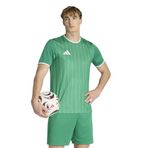 Adidas Erkek Futbol Forma Ent26 Gfx Jsy Kb3970