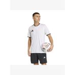 Adidas Erkek Futbol Forma Ent26 Gfx Jsy Kb3971