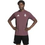 Adidas Erkek Futbol Forma Real Madrid Tr Jsy JZ9009 - Bordo