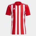 Adidas Erkek Futbol Forması Striped 21 Jsy Gn7624