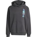 adidas Erkek Gri Sweatshirt GFX HOODIE JX1811