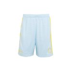 adidas Erkek Mavi Şort SANTIAGO SHORT KU9251