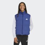 adidas Erkek Mavi Yelek ESS 3S PUF D V JM4080 - 2XL