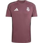 Adidas Erkek Mor Forma Real Tr Jsy JZ9009 - XL
