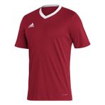 adidas Erkek Parma22 Jsy Forma, Tepore, M