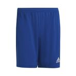 adidas Erkek Şortu Mavi